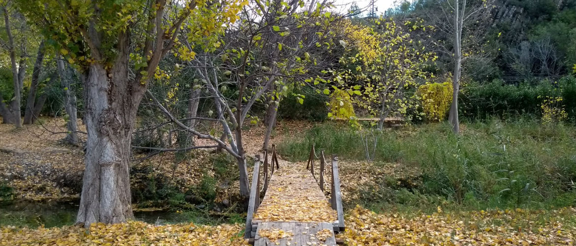 puente de madera sobre rio
